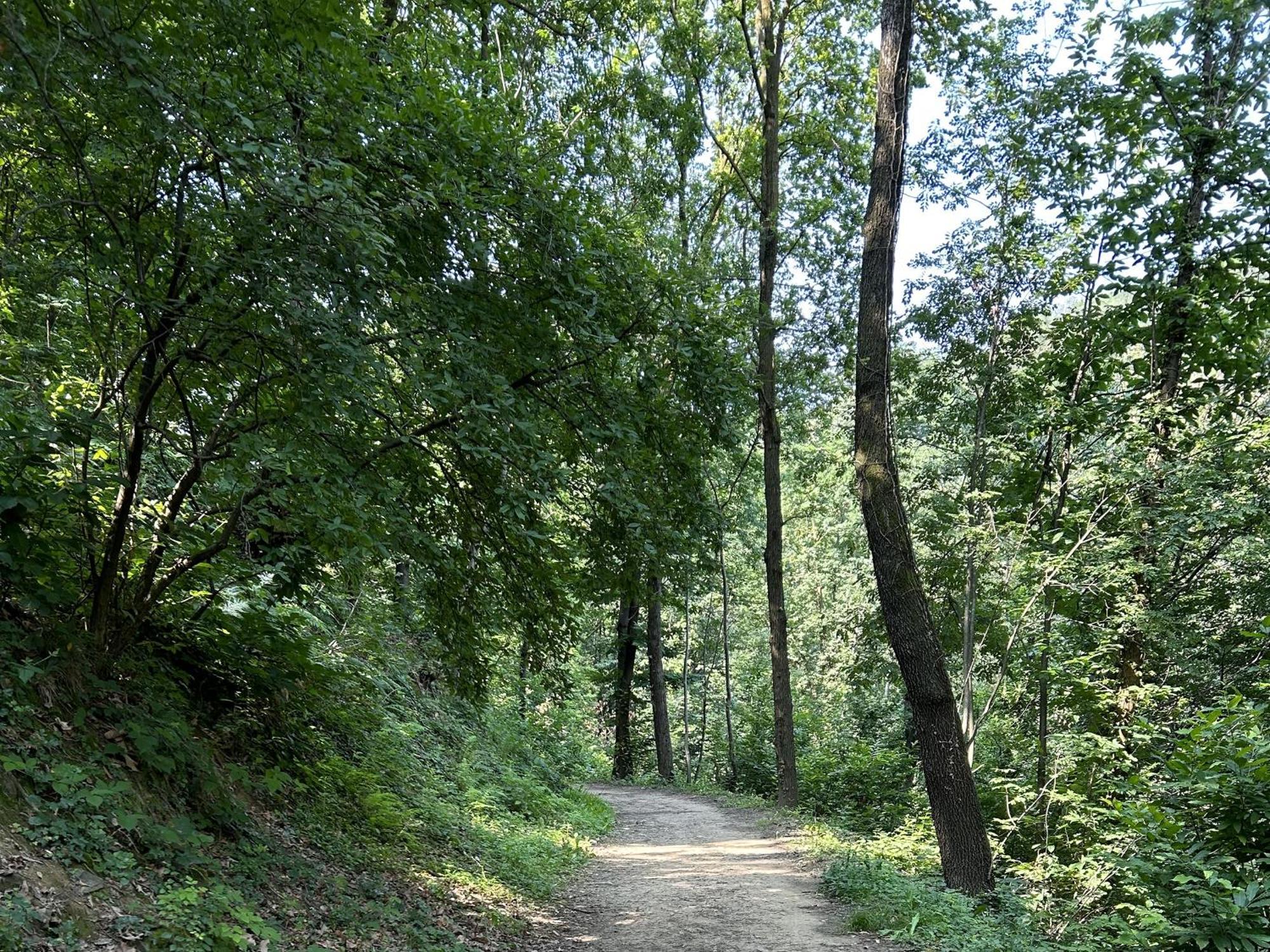 Il Giardino Di Berbech Citta Alta - Castagno Bérgamo Exterior foto