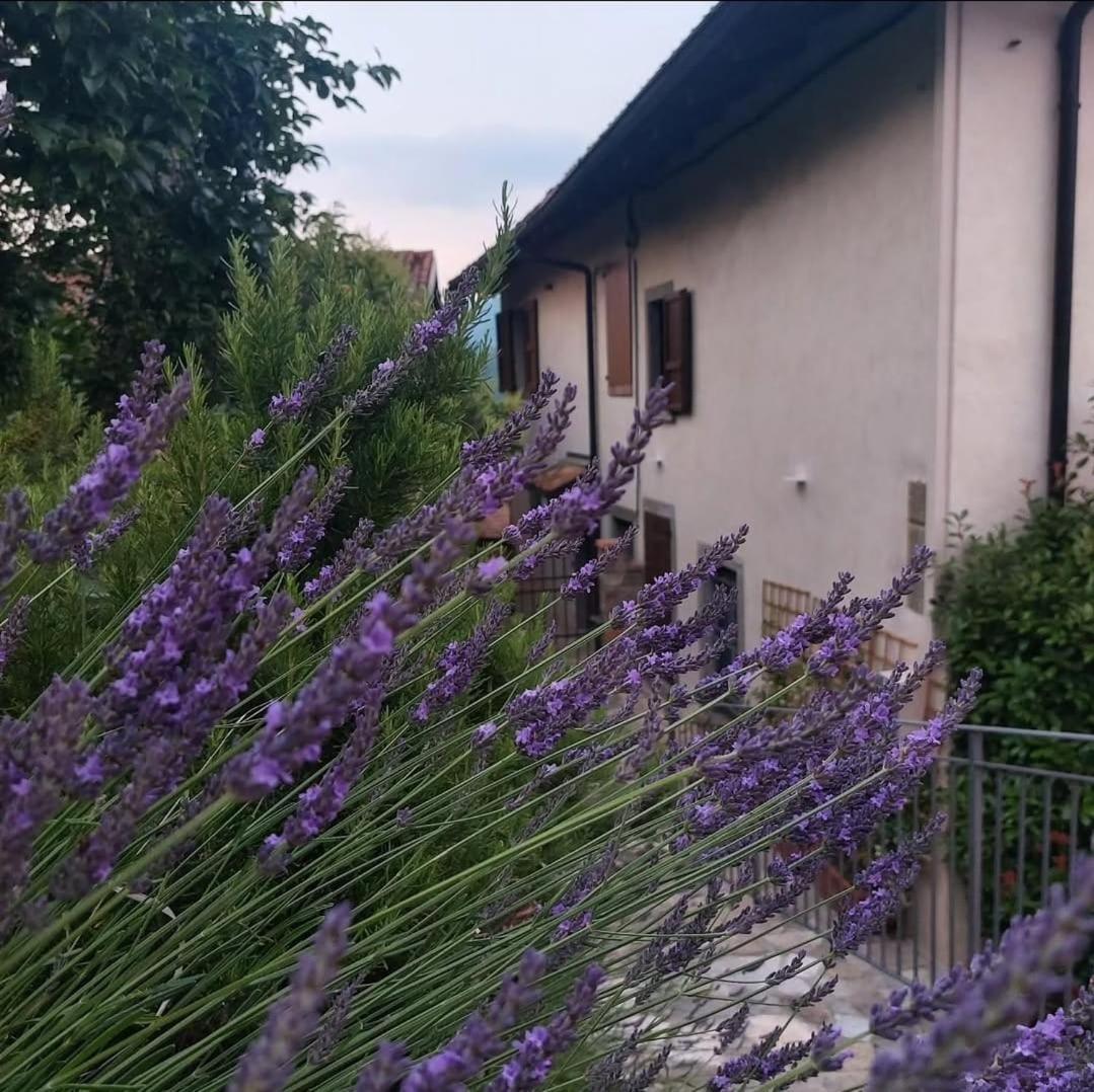 Il Giardino Di Berbech Citta Alta - Castagno Bérgamo Exterior foto